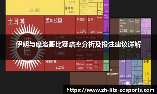 伊朗与摩洛哥比赛赔率分析及投注建议详解